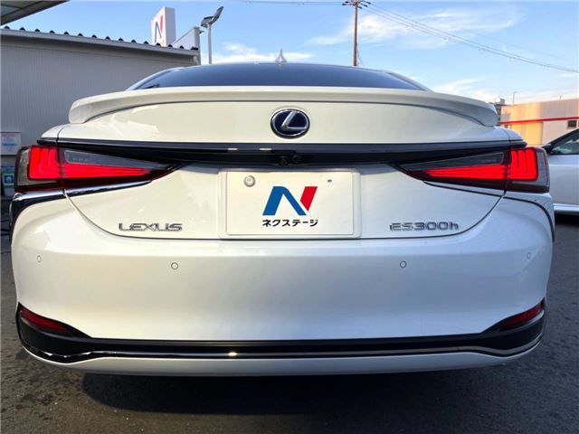 2019 Lexus ES thumbnail 21