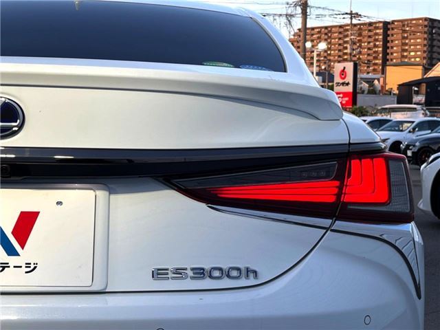 2019 Lexus ES thumbnail 23