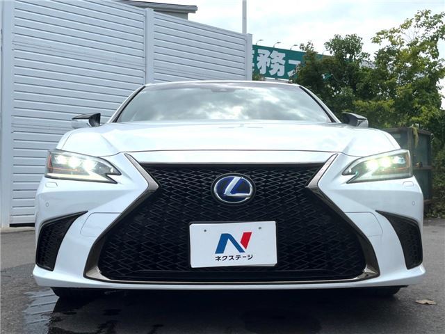 2019 Lexus ES thumbnail 14