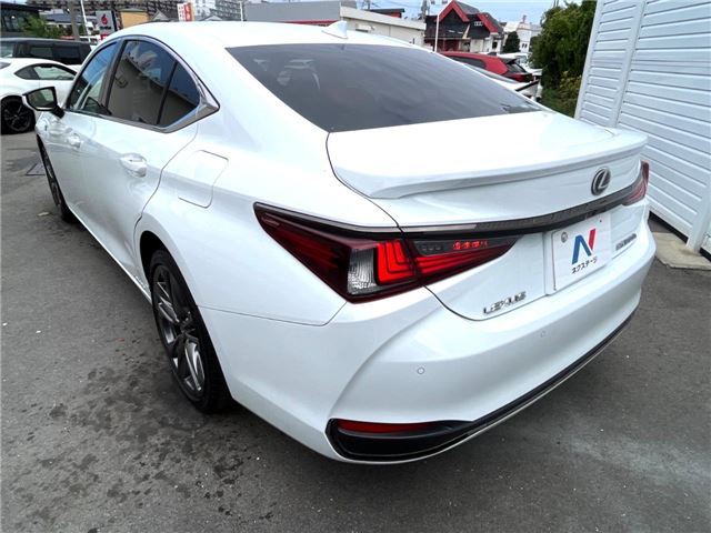2019 Lexus ES thumbnail 20