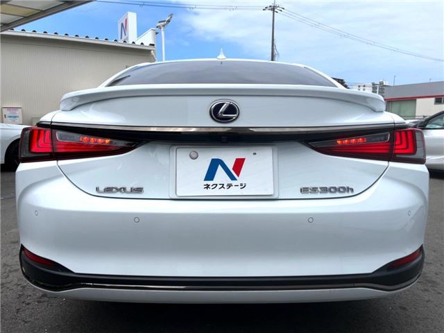 2019 Lexus ES thumbnail 21