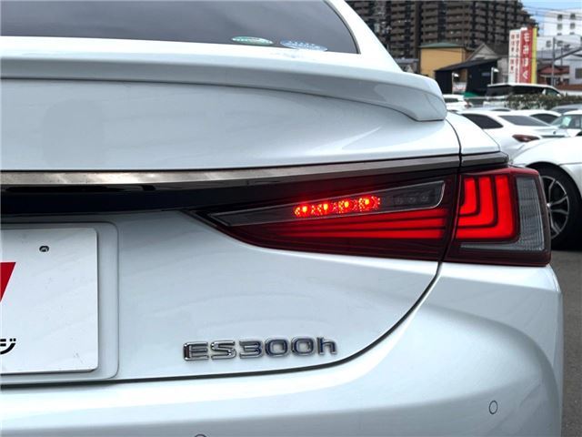 2019 Lexus ES thumbnail 22