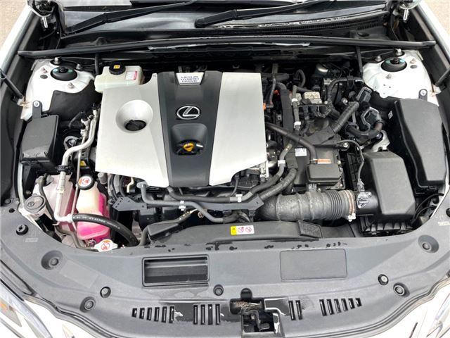 2019 Lexus ES photo 5