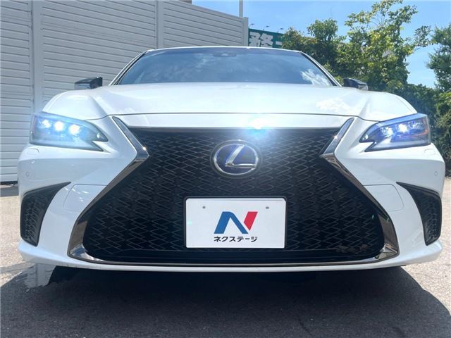2020 Lexus ES thumbnail 14