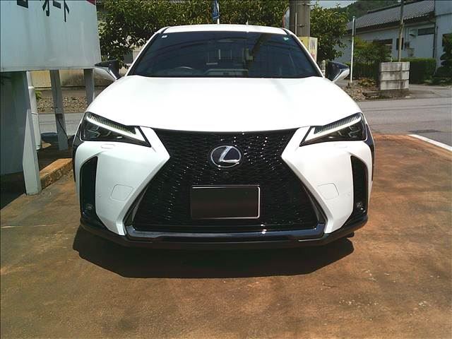 2024 Lexus UX photo 3