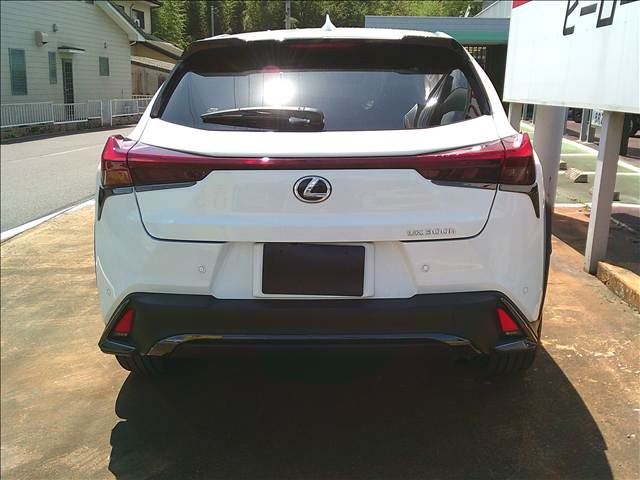 2024 Lexus UX photo 4