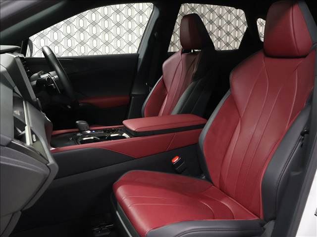 2024 Lexus RX thumbnail 14