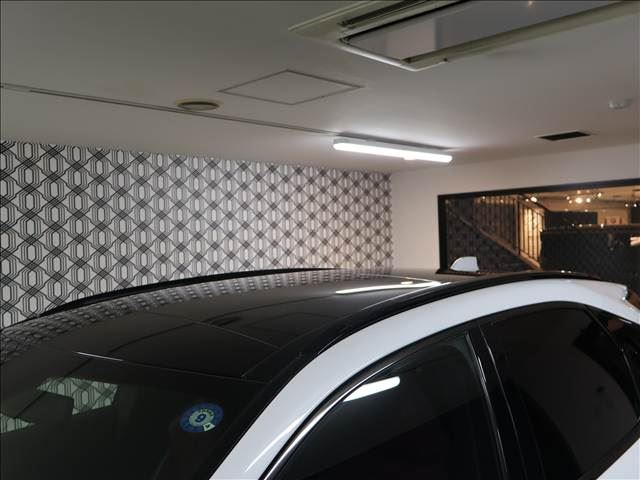 2024 Lexus RX thumbnail 17