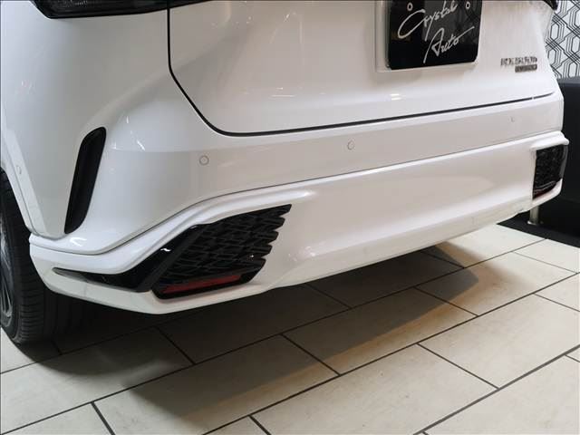 2024 Lexus RX thumbnail 18