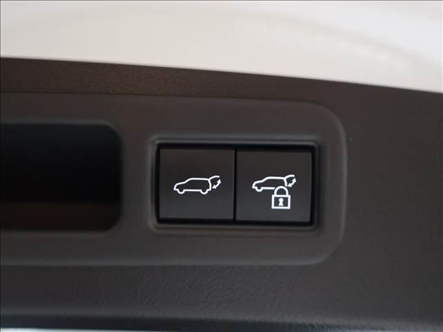 2024 Lexus RX thumbnail 20