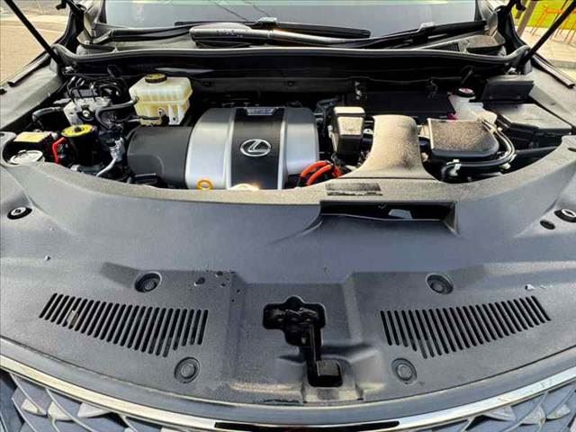 صورة مصغرة 45 لـ 2020 Lexus RX