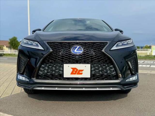 صورة 9 لـ 2020 Lexus RX