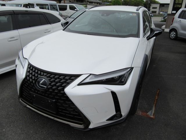 2021 Lexus UX photo 1