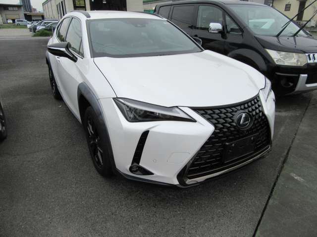 2021 Lexus UX photo 3