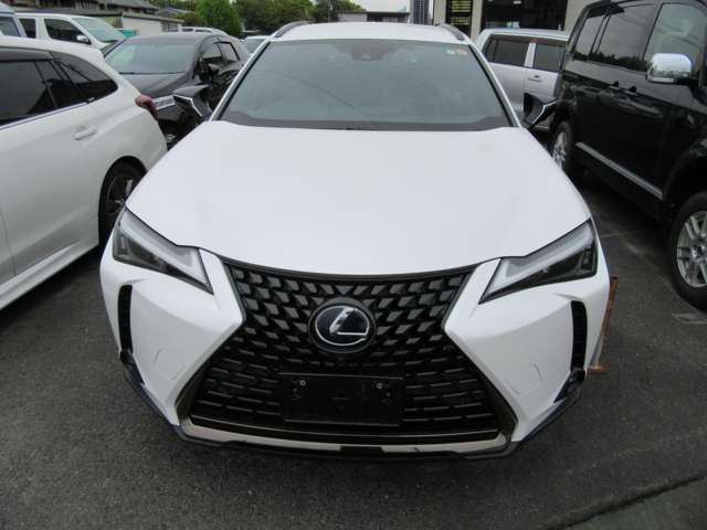 2021 Lexus UX photo 2
