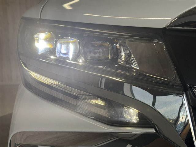 2019 Toyota ALPHARD — миниатюра 33