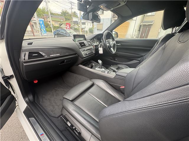 2015 BMW 2 SERIES — миниатюра 48