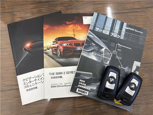 2015 BMW 2 SERIES — миниатюра 55