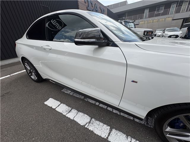 2015 BMW 2 SERIES — миниатюра 59