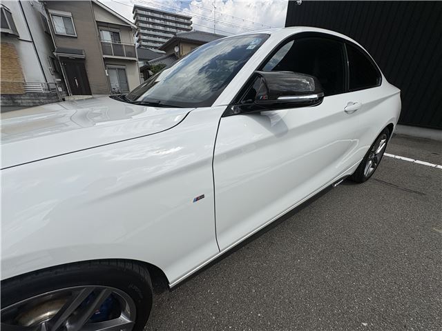 2015 BMW 2 SERIES — миниатюра 60