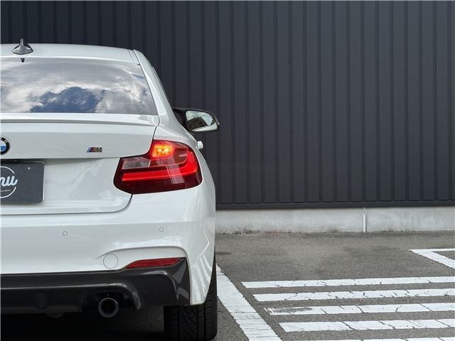 2015 BMW 2 SERIES — миниатюра 65