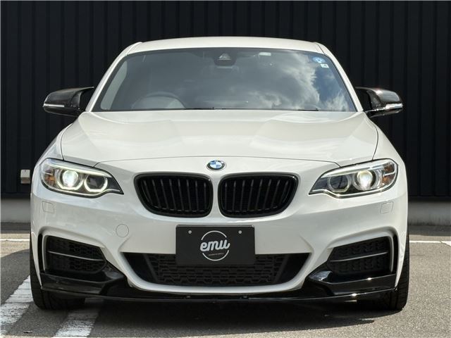 2015 BMW 2 SERIES — миниатюра 68