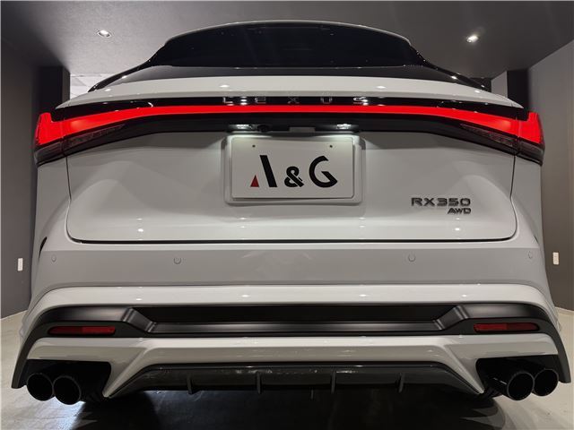 2025 Lexus RX thumbnail 11