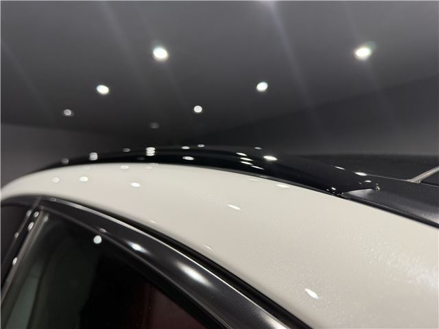 2025 Lexus RX thumbnail 20