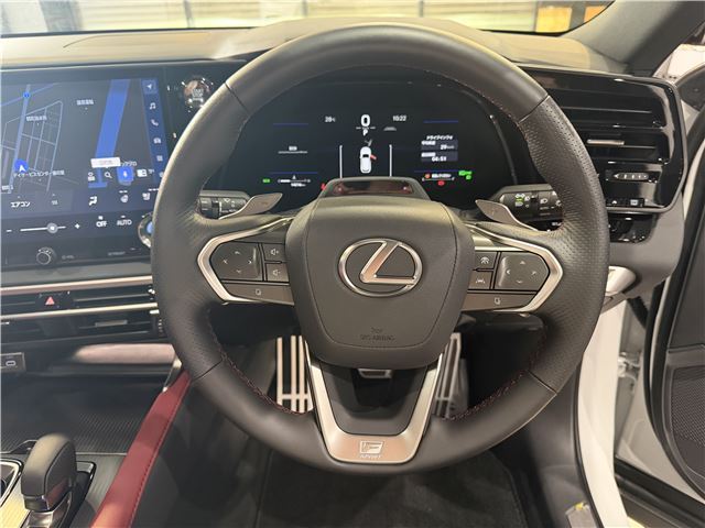 2025 Lexus RX thumbnail 27