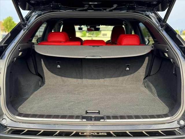 2020 Lexus RX 缩略图 20