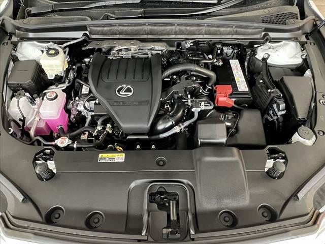 صورة مصغرة 50 لـ 2025 Lexus RX