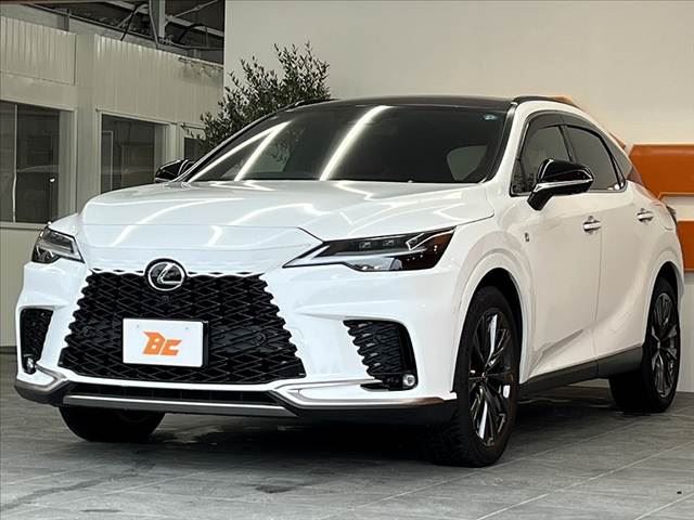 صورة 10 لـ 2025 Lexus RX