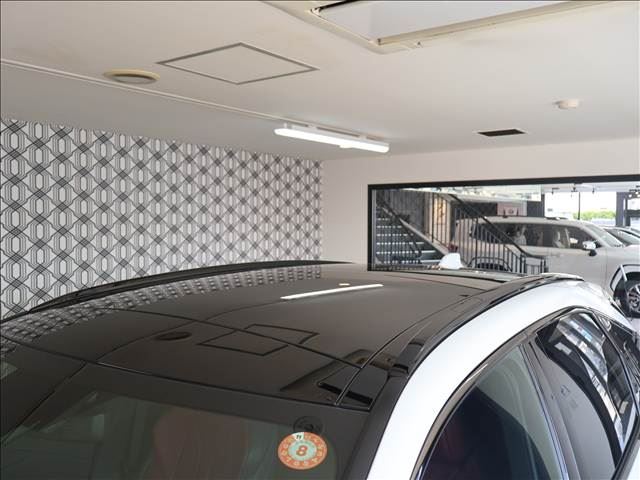 2025 Lexus RX — миниатюра 17