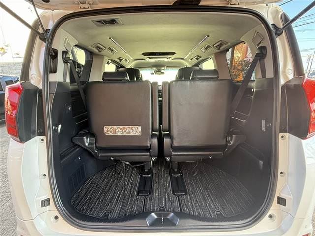 2019 Toyota ALPHARD — миниатюра 20