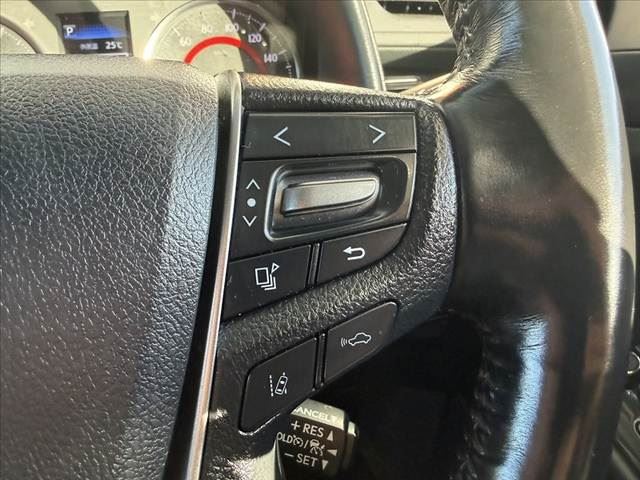 2019 Toyota ALPHARD — миниатюра 28