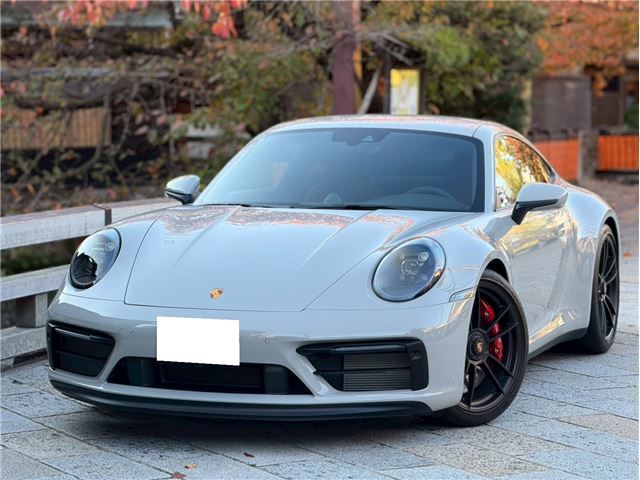 2023 Porsche CARRERA GT 缩略图 23