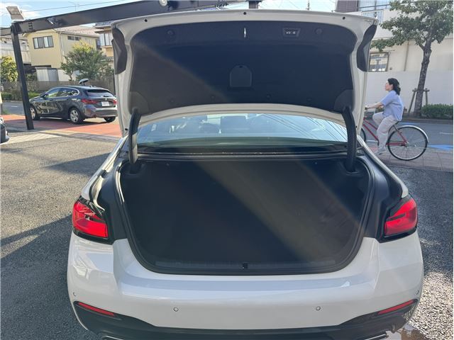 صورة مصغرة 37 لـ 2021 BMW 5 SERIES