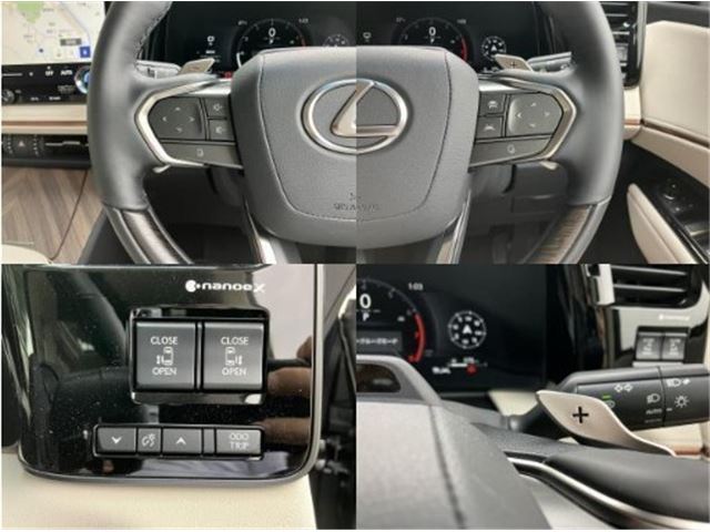 2025 Lexus LM thumbnail 12