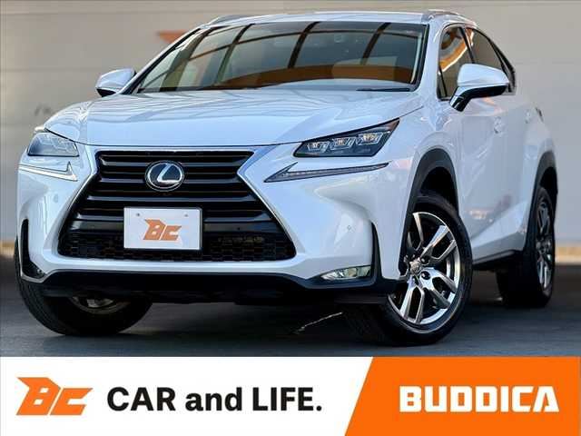 2017 Lexus NX photo 1
