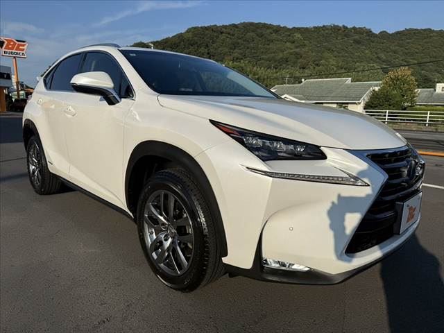 2017 Lexus NX photo 10