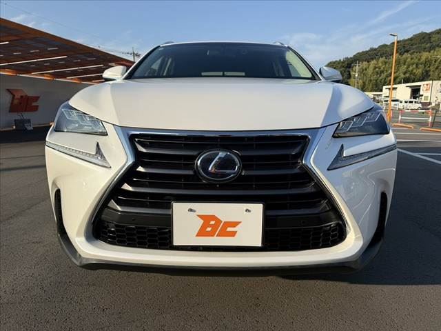 2017 Lexus NX photo 9