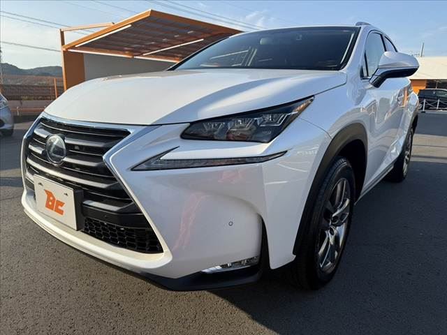2017 Lexus NX photo 8