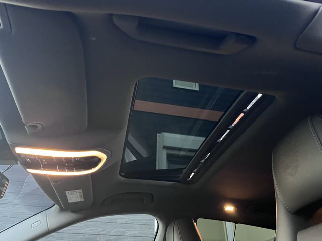 صورة مصغرة 29 لـ 2015 Porsche PANAMERA