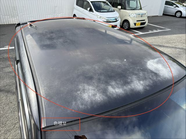 2011 Honda ZEST 缩略图 13