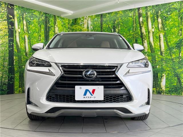 2014 Lexus NX 缩略图 12