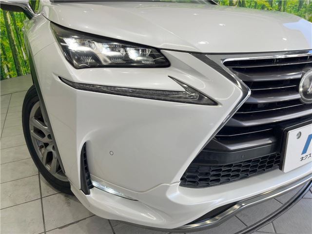 2014 Lexus NX 缩略图 15