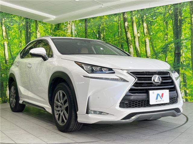 2014 Lexus NX 缩略图 11