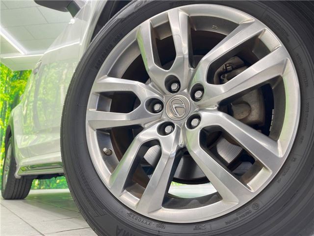 2014 Lexus NX 缩略图 17