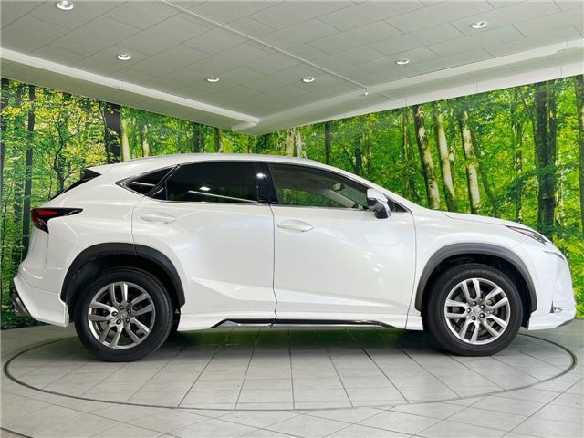 صورة 10 لـ 2014 Lexus NX