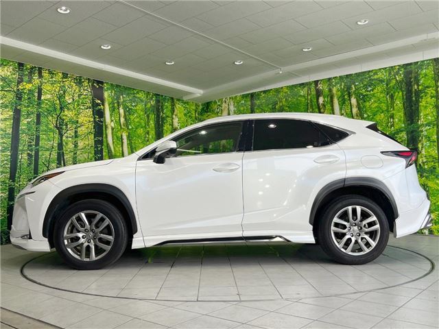 صورة 6 لـ 2014 Lexus NX